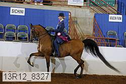 13r12_8327 proof