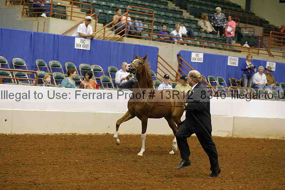 Proof 13r12_8346