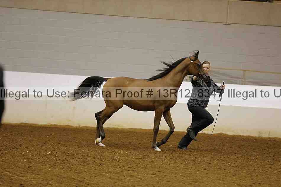 Proof 13r12_8347
