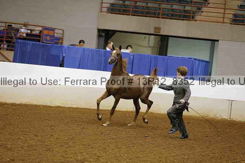 Proof 13r12_8352