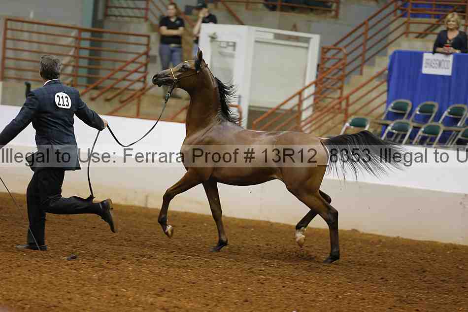 Proof 13r12_8353