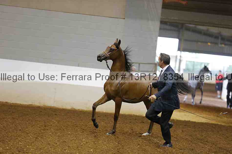 Proof 13r12_8354