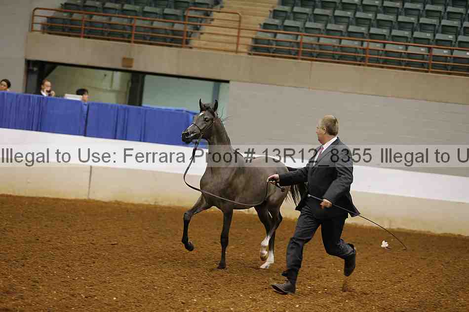 Proof 13r12_8355