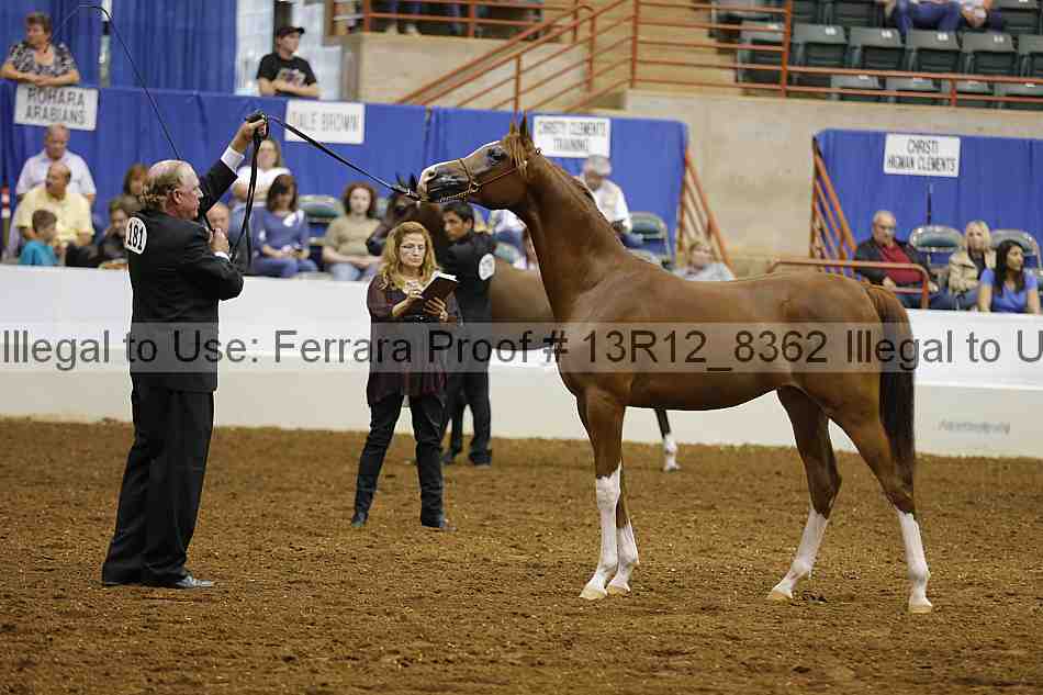 Proof 13r12_8362