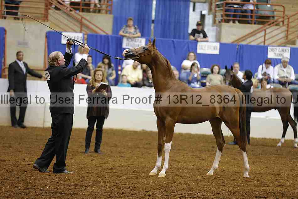 Proof 13r12_8364