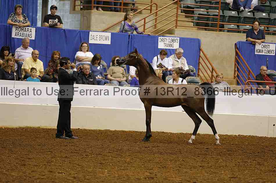 Proof 13r12_8366