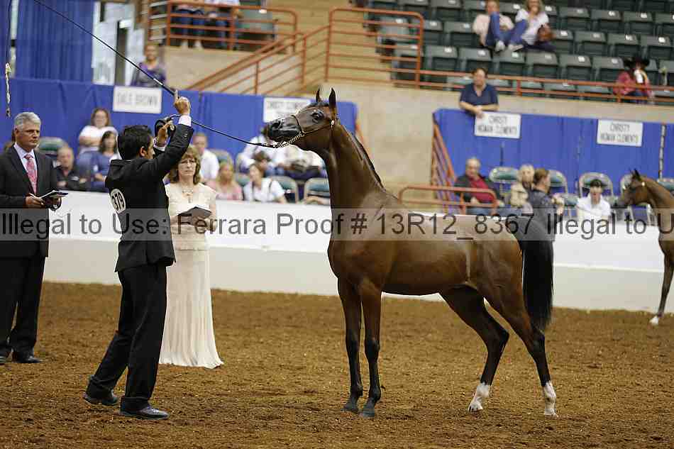 Proof 13r12_8367