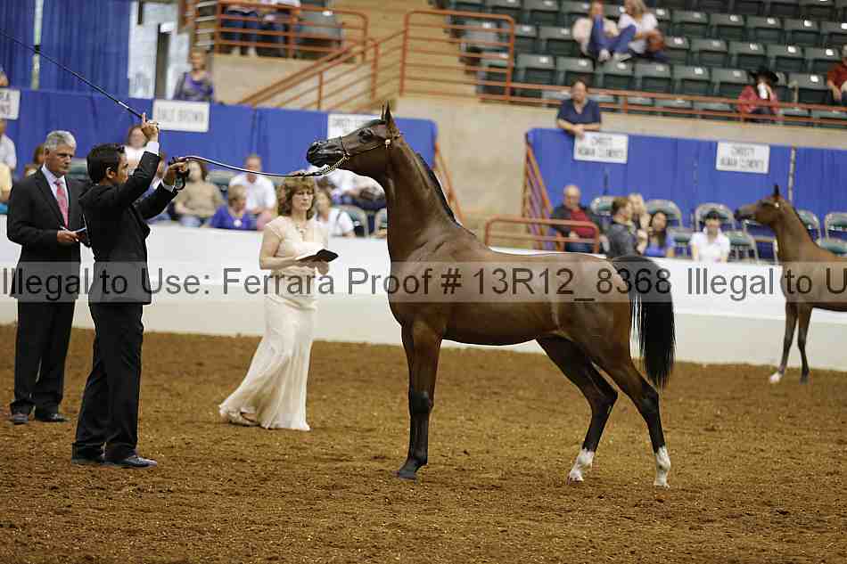 Proof 13r12_8368