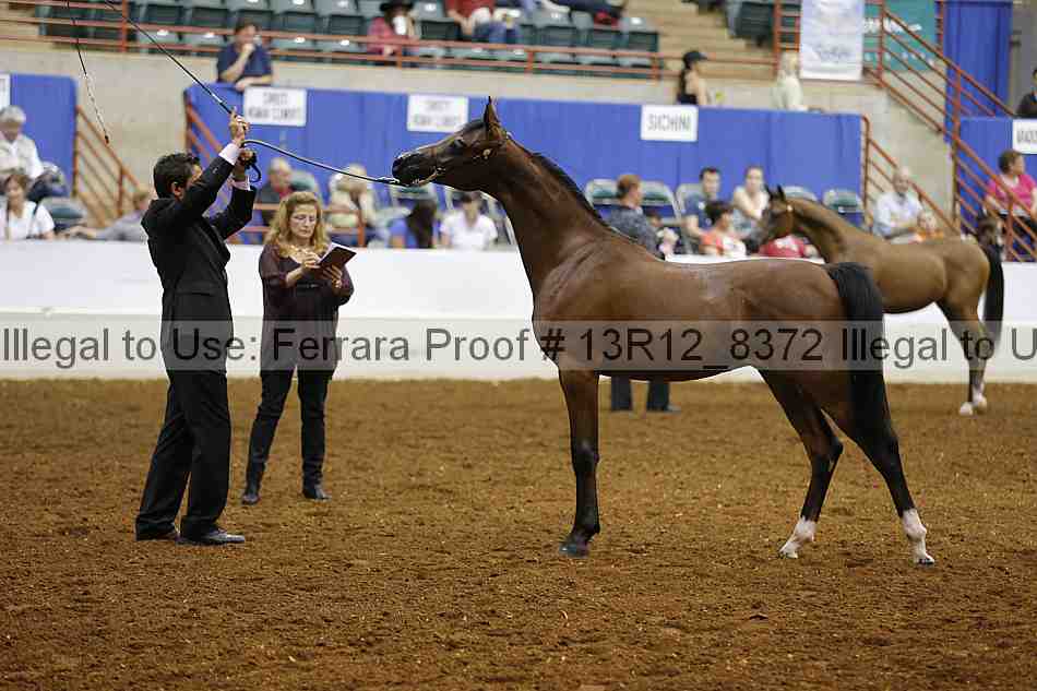 Proof 13r12_8372