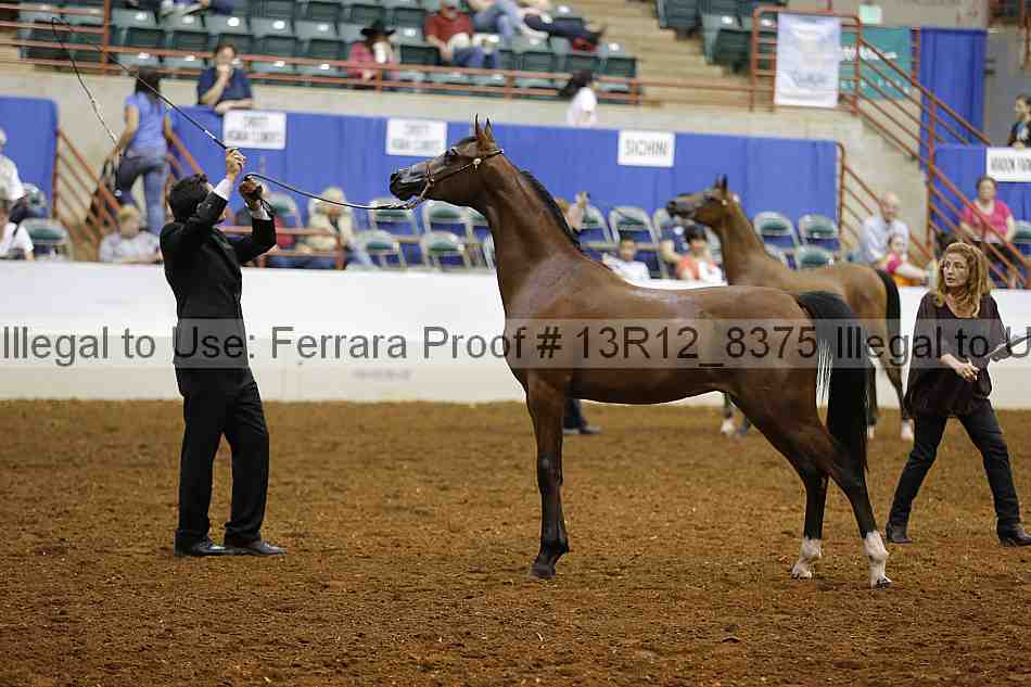 Proof 13r12_8375