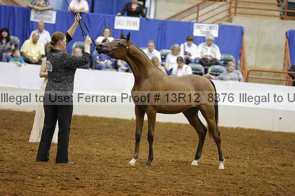Proof 13r12_8376