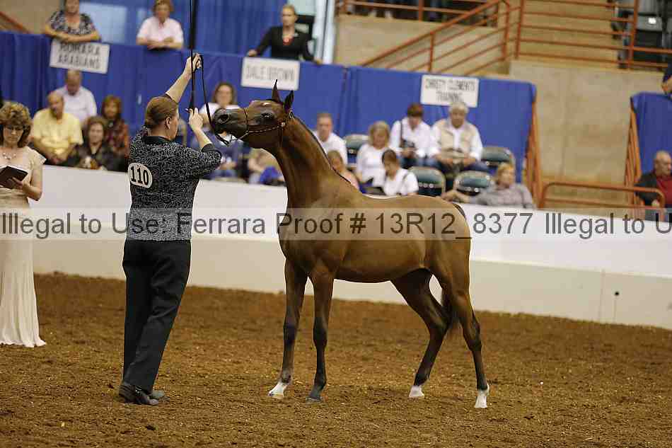 Proof 13r12_8377