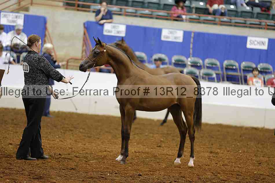 Proof 13r12_8378