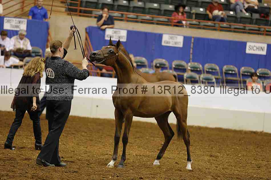 Proof 13r12_8380