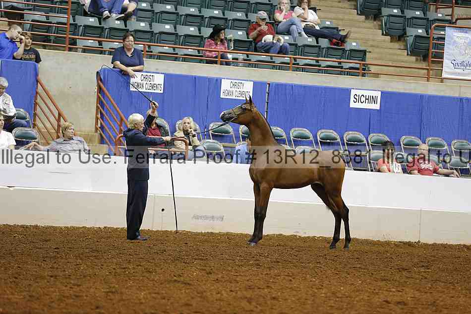 Proof 13r12_8381