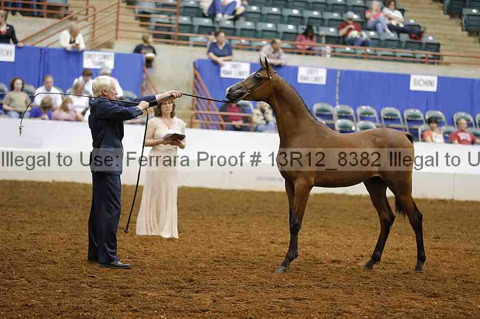 Proof 13r12_8382