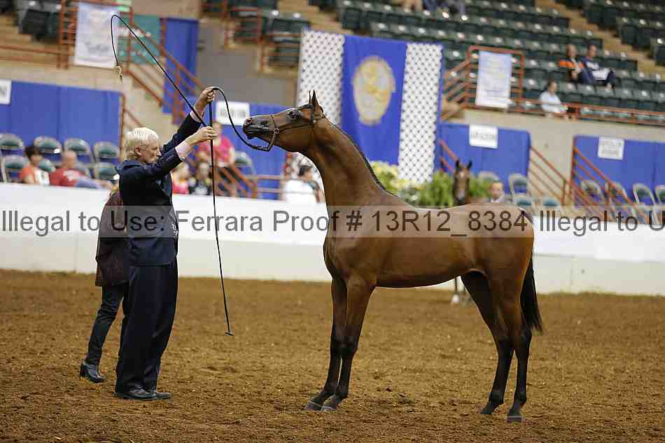 Proof 13r12_8384