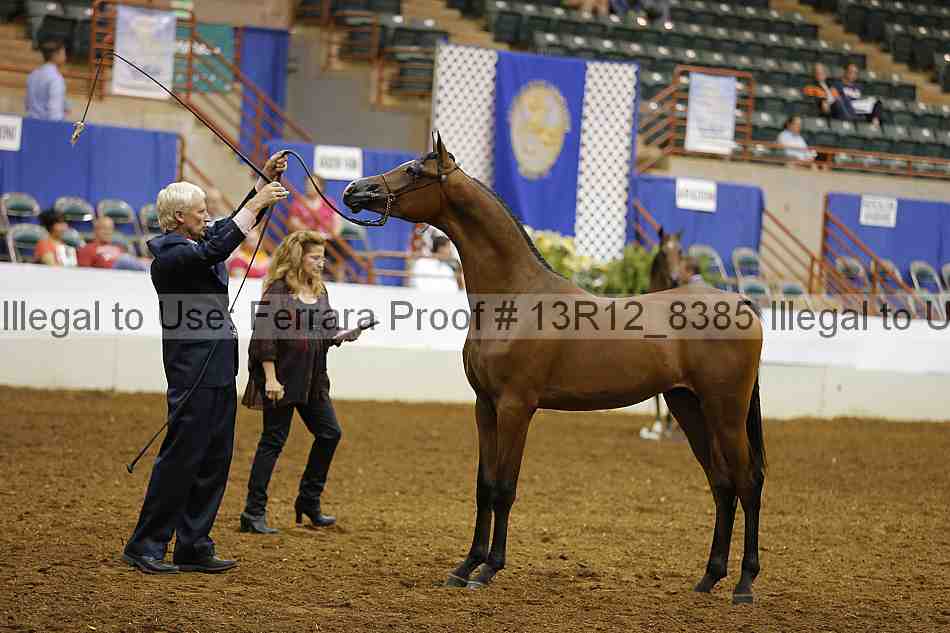 Proof 13r12_8385