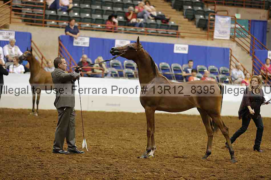 Proof 13r12_8395