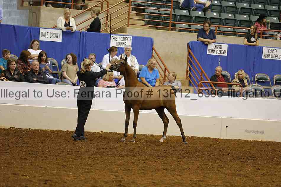Proof 13r12_8396