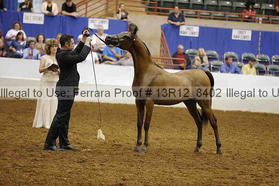 Proof 13r12_8402
