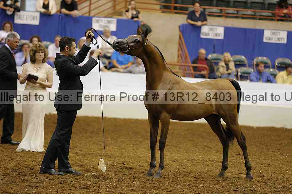 Proof 13r12_8403