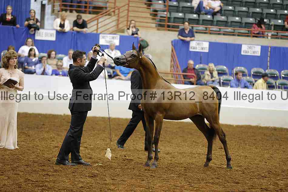 Proof 13r12_8404
