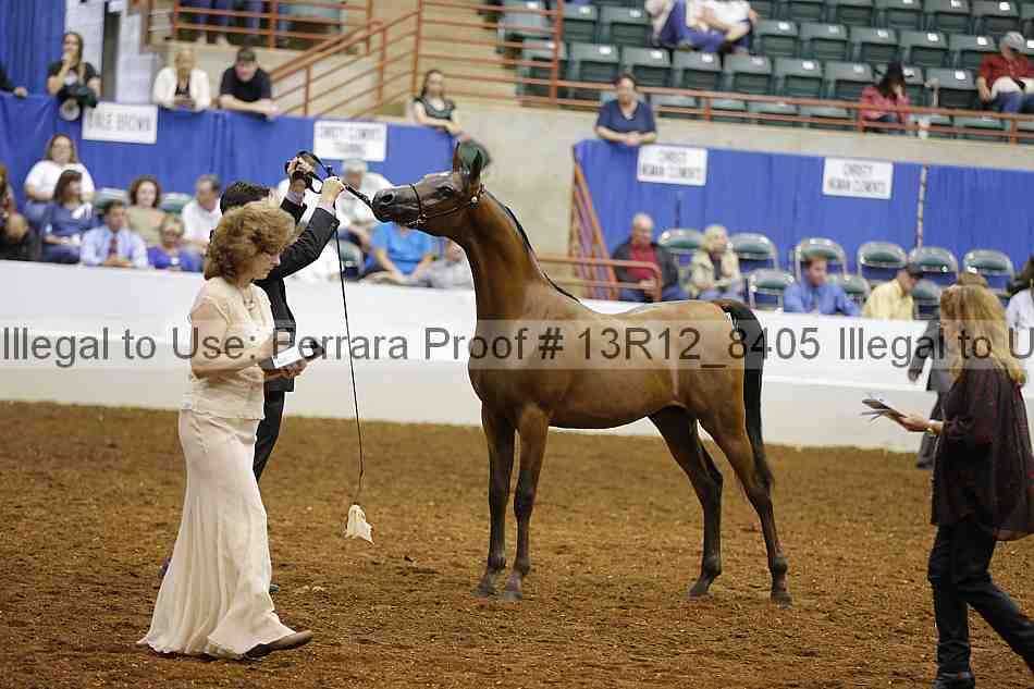Proof 13r12_8405