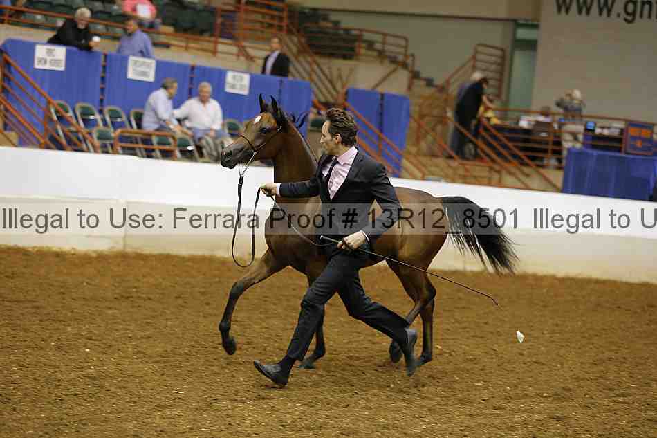 Proof 13r12_8501