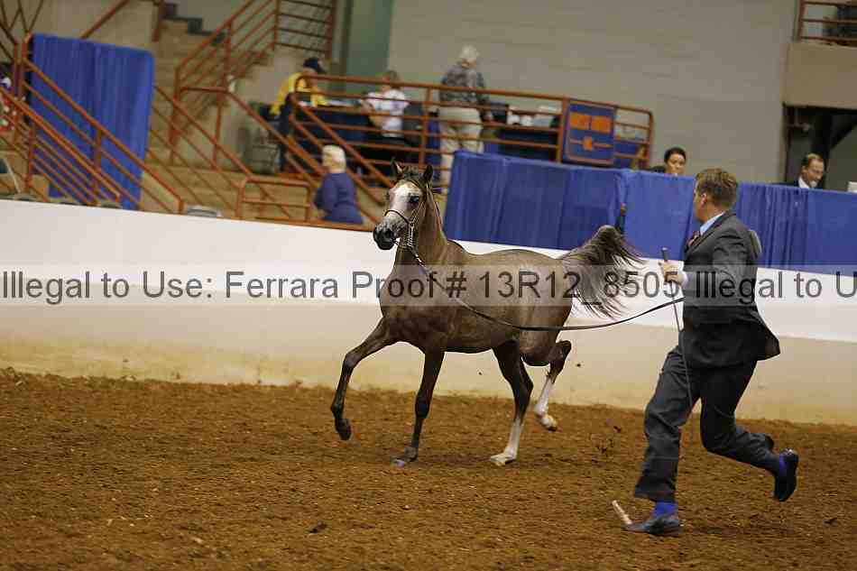 Proof 13r12_8505