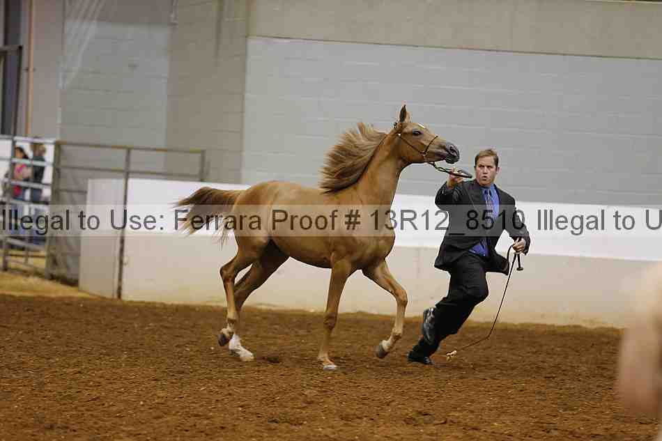 Proof 13r12_8510