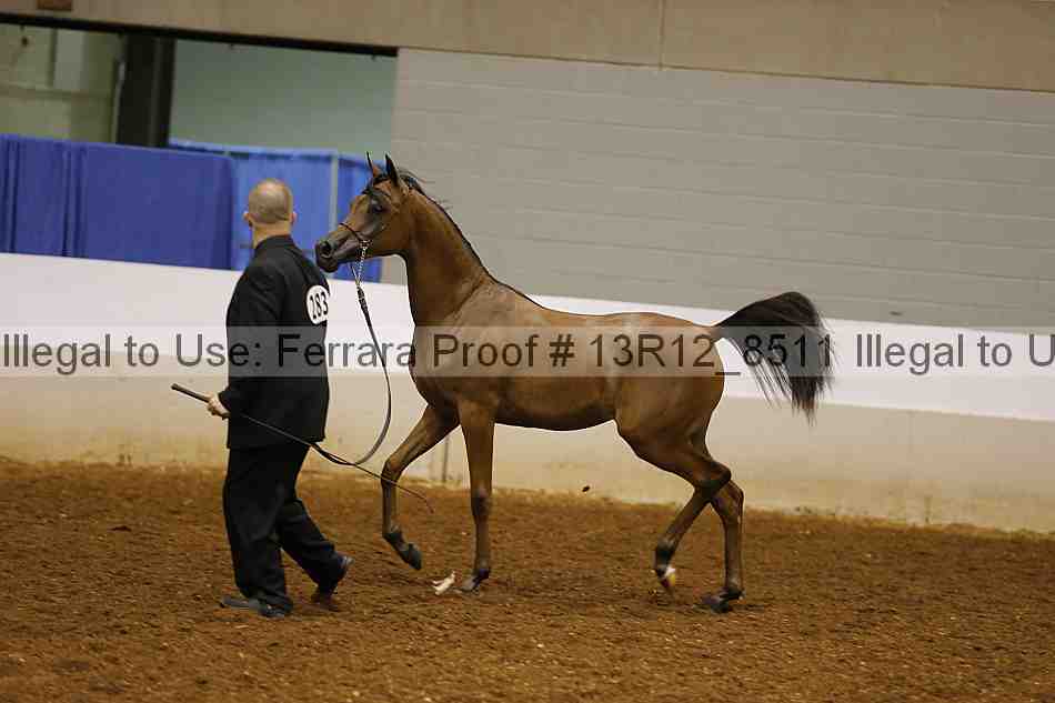 Proof 13r12_8511