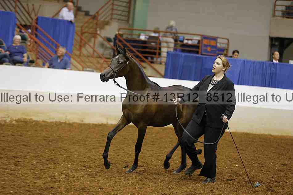 Proof 13r12_8512