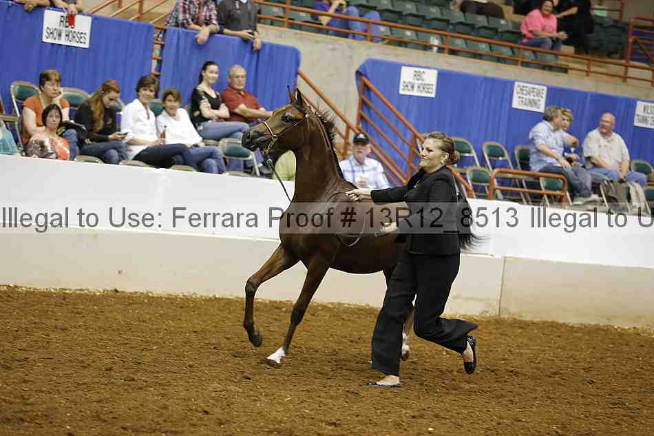 Proof 13r12_8513