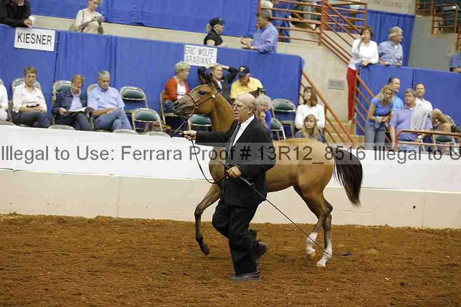 Proof 13r12_8516