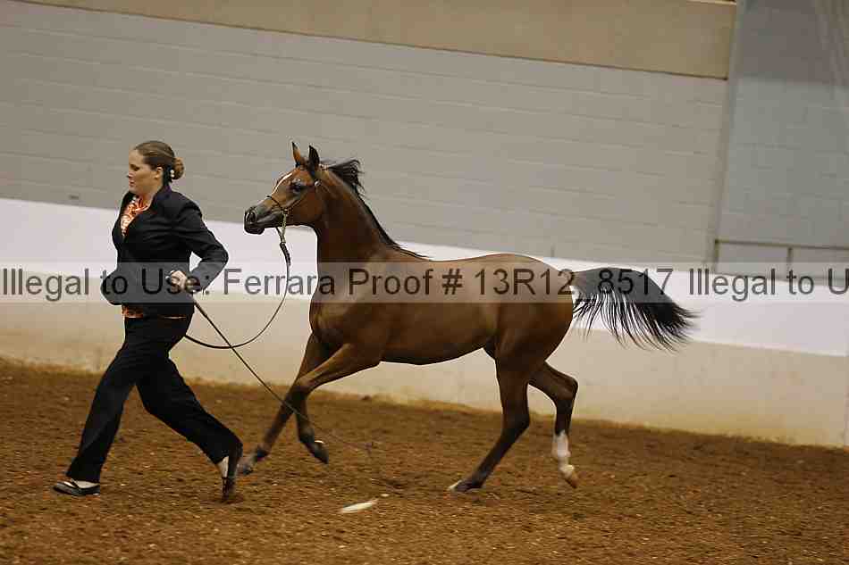 Proof 13r12_8517