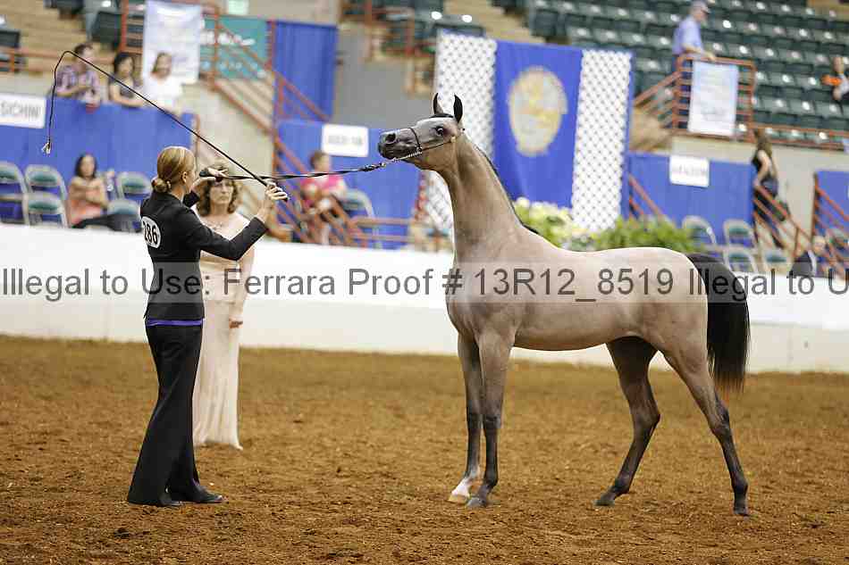 Proof 13r12_8519