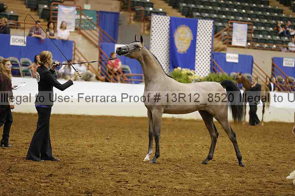 Proof 13r12_8520