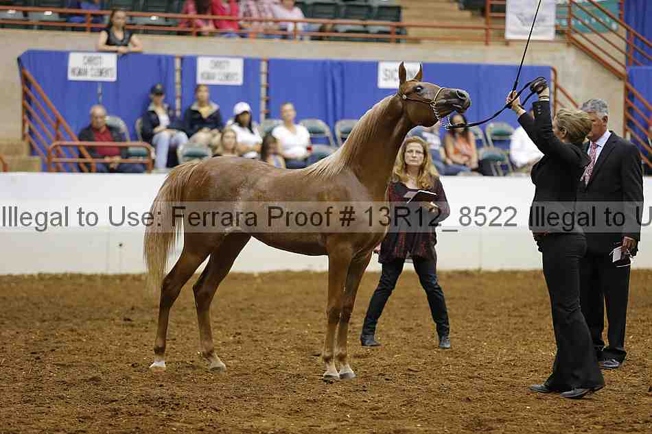 Proof 13r12_8522