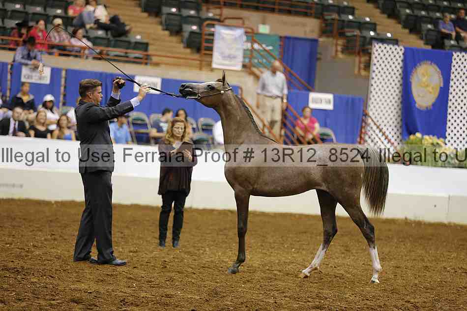 Proof 13r12_8524
