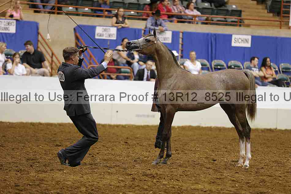 Proof 13r12_8525