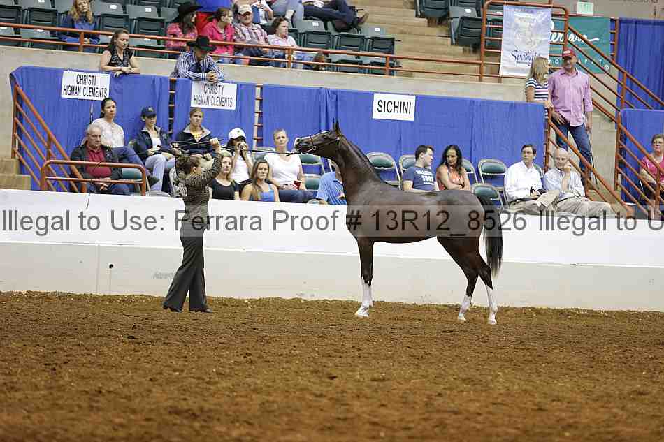 Proof 13r12_8526