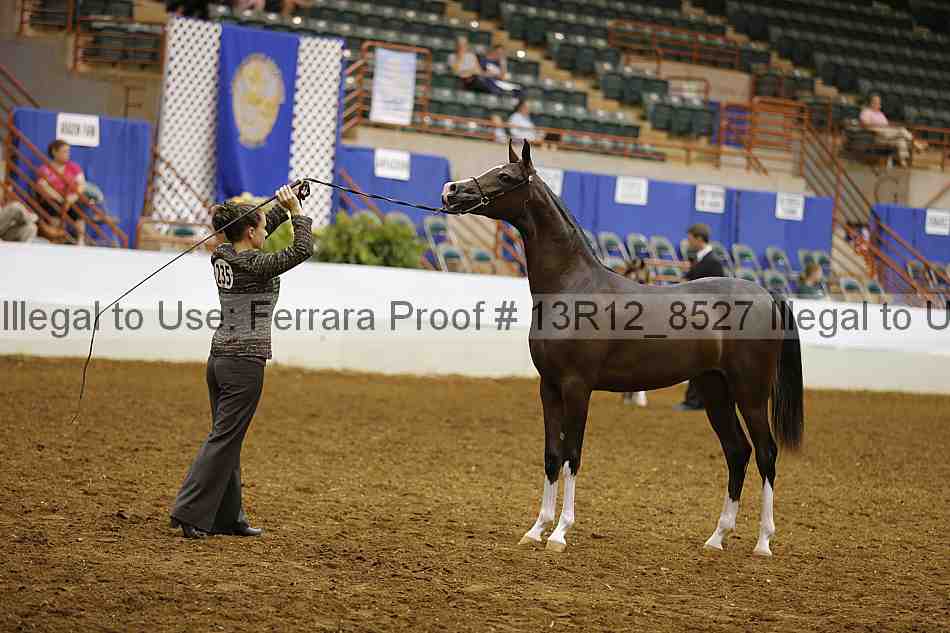 Proof 13r12_8527