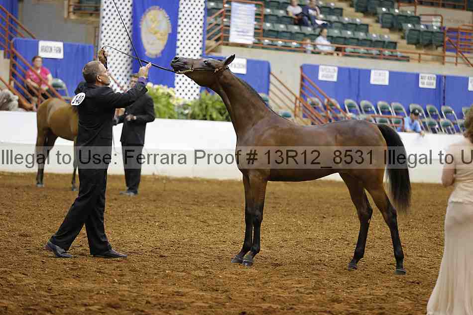 Proof 13r12_8531