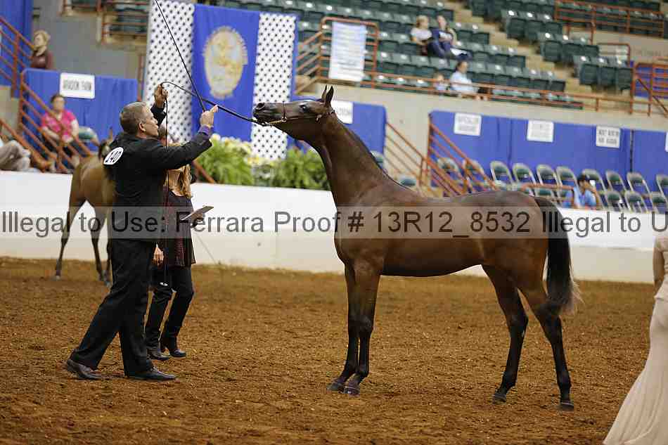 Proof 13r12_8532