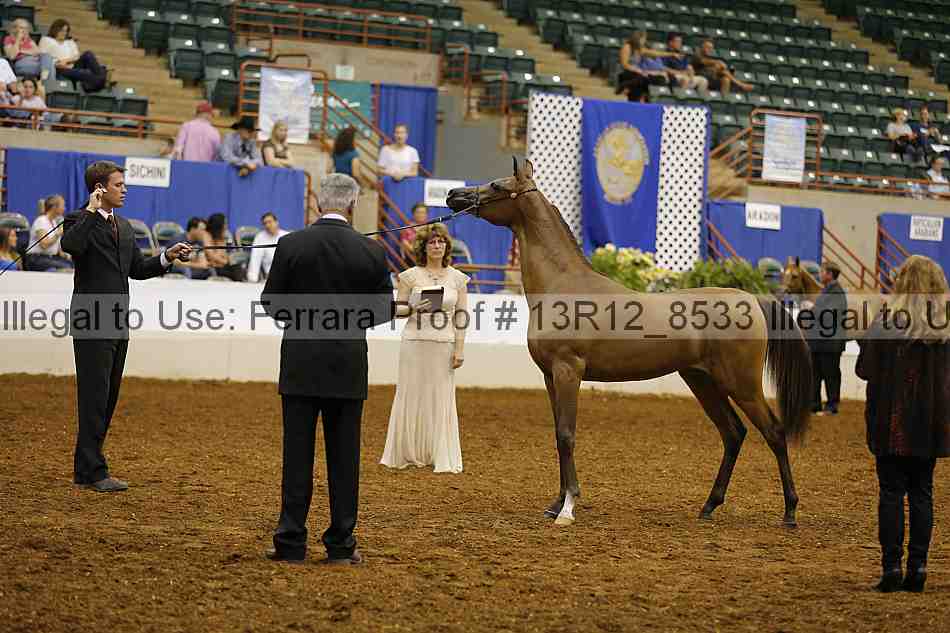 Proof 13r12_8533