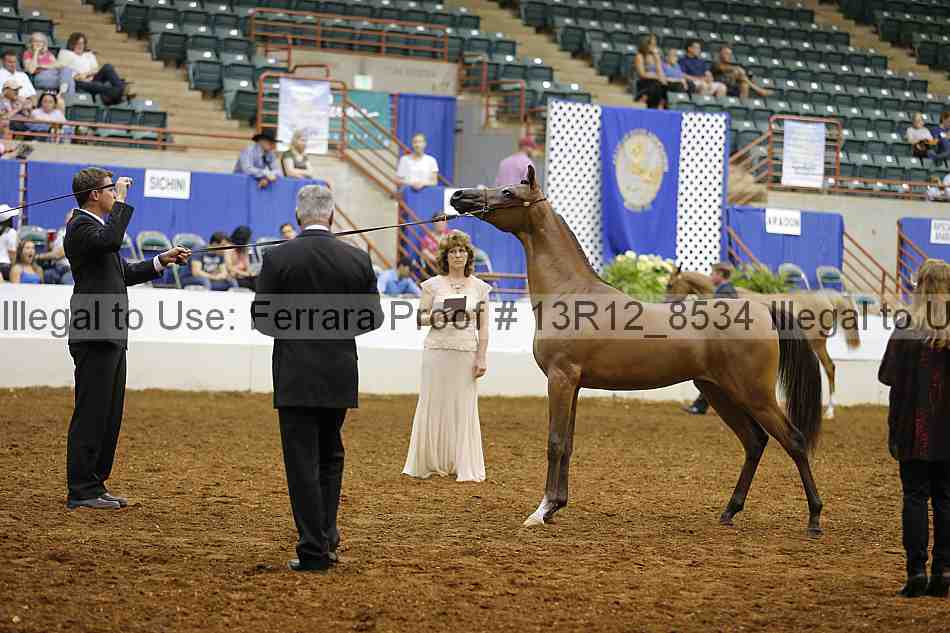 Proof 13r12_8534