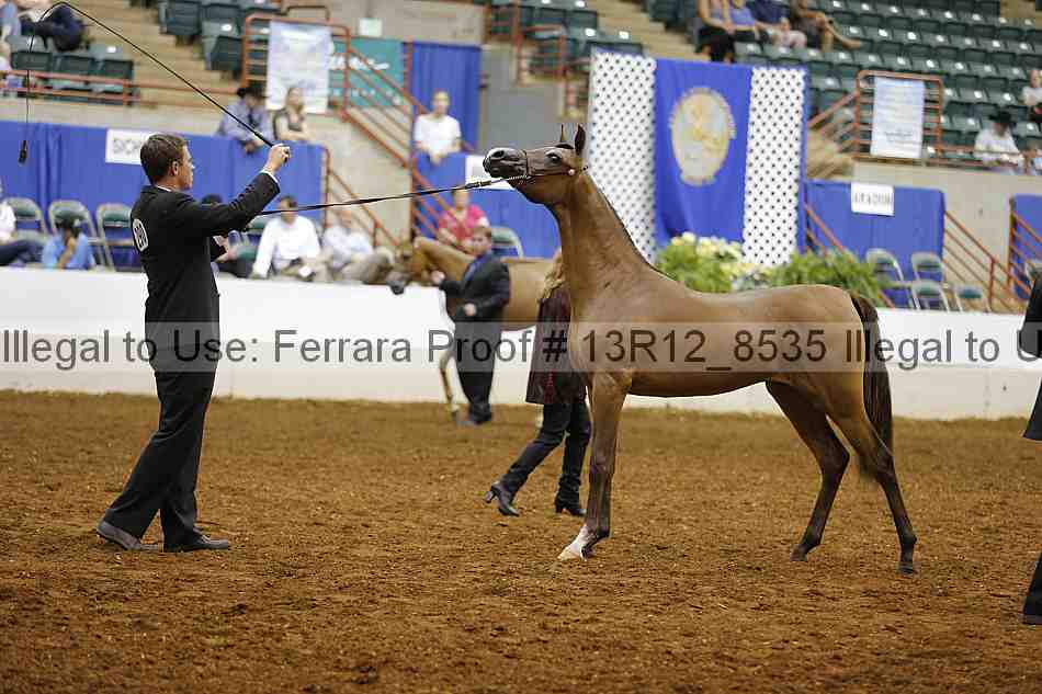 Proof 13r12_8535