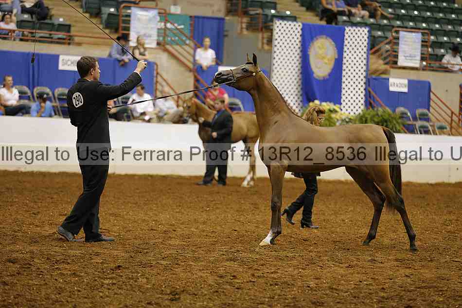 Proof 13r12_8536