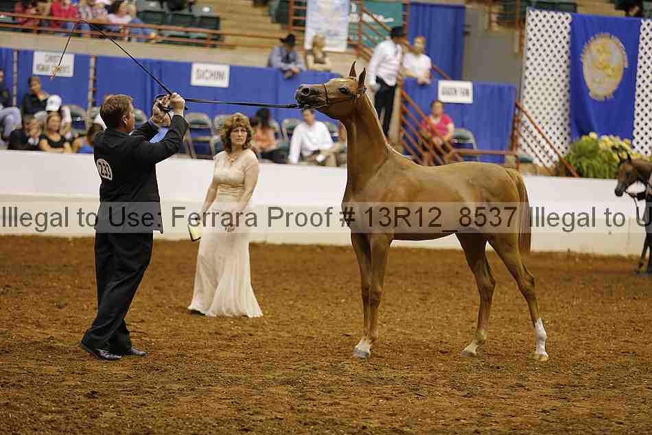 Proof 13r12_8537